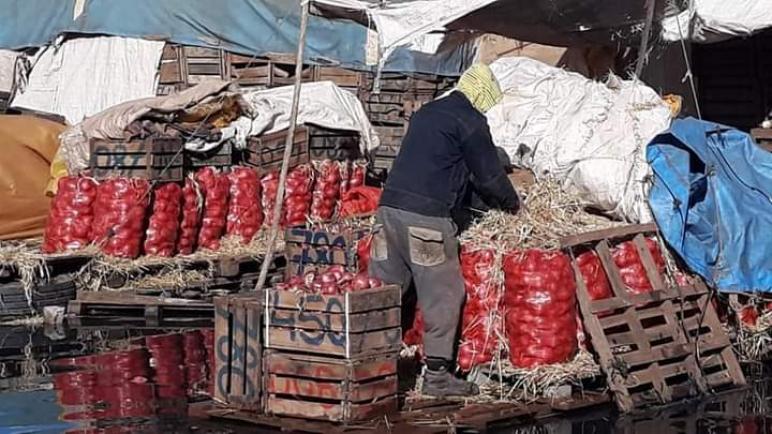 “كارثة” تضرب تجار سوق الجملة للخضر والفواكه بالقنيطرة بعد انفجار قنوات الصرف الصحي