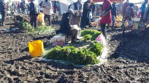 سوق ثلاثاء سيدي بنور بنيته التحتية لا ترقى لقيمة مداخيله وللتحولات الإقتصادية بالمنطقة