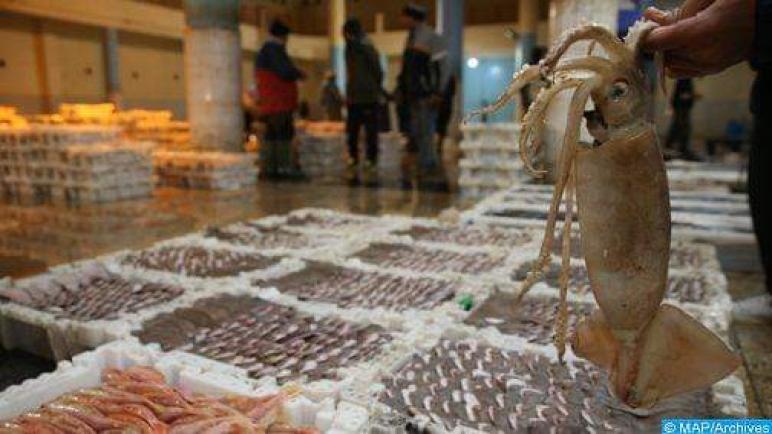 جهة سوس ماسة تسارع الخطى لإعطاء مدلول واقعي لاستدامة الثروات السمكية
