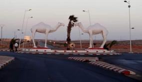 دبلوماسيون يبدون اهتماما كبيرا بفرص الاستثمار بطانطان