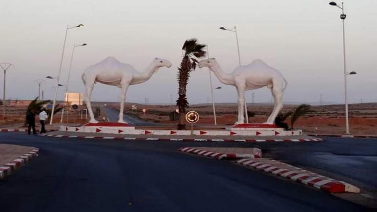 دبلوماسيون يبدون اهتماما كبيرا بفرص الاستثمار بطانطان