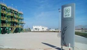 المجمع الشريف للفوسفاط يساهم في إنجاز أول وحدة لتثمين حليب الماعز بإقليم الرحامنة