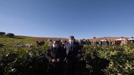 وزير الفلاحة يطلق ويتفقد مشاريع للتنمية الفلاحية والقروية بسوس ماسة