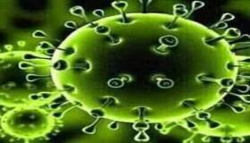 كوفيد-19 .. عدد الملقحين بالكامل بالمملكة يفوق سبعة ملايين و94 ألفا