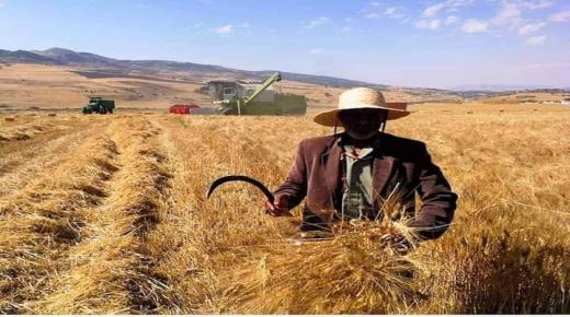 وزارة الفلاحة: الميزانية الاستثمارية تبلغ نحو 15.5 مليار درهم سنة 2022