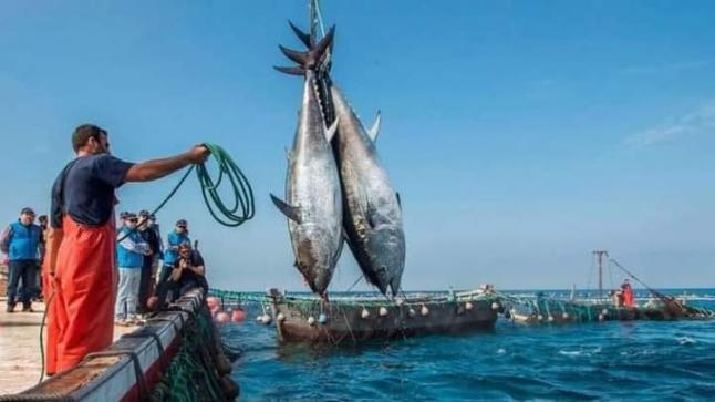 الصيادون الإسبان يخشون عدم تجديد إتفاقية الصيد البحري بين المغرب وبروكسيل