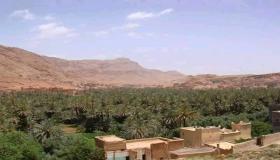 نقاش بالراشيدية حول استراتيجيات تنمية مناطق الواحات