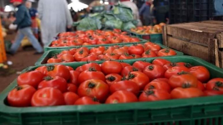 أسعار الطماطم ترتفع مع قرب رمضان.. ومهنيون يطلبون وقف التصدير
