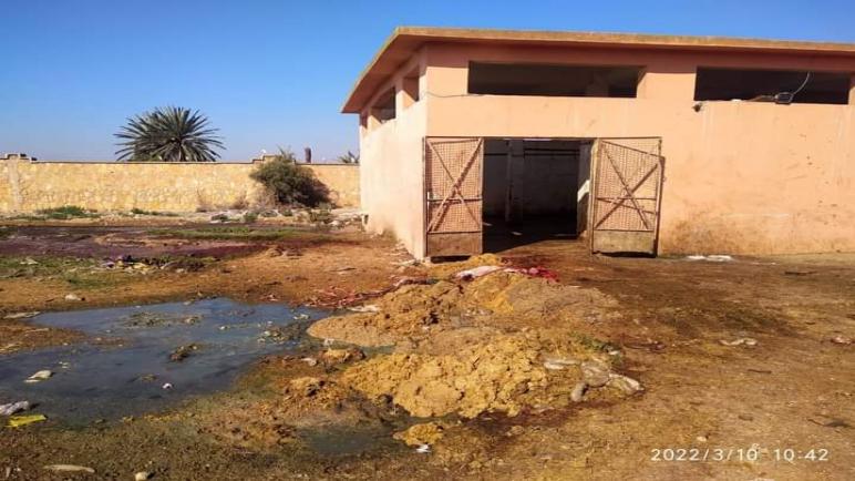 مجزرة اللحوم بالسوق الأسبوعي خميس زيمة بالشماعية تشمئز منها النفوس