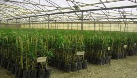 اعضاء الشبكة المغربية لحقوق الإنسان في زيارة مستنبث كولدن