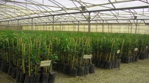 اعضاء الشبكة المغربية لحقوق الإنسان في زيارة مستنبث كولدن