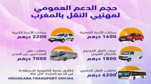 الحكومة تطلق الدعم الاستثنائي المخصص لمهنيي النقل