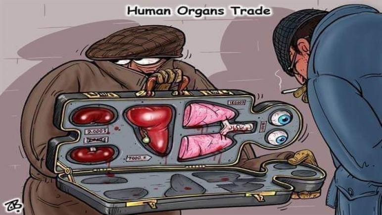 تفاصيل مثيرة للإطاحة بشبكة دولية تتاجر في الأعضاء البشرية‎‎
