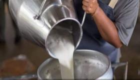 مندوبية الصحة بسطات تحذر من تزايد حالات السل بسبب استهلاك حليب غير مراقب