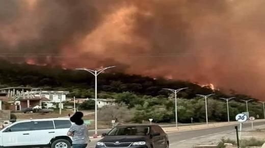 الجزائر في حالة حداد..26 قتيلا جراء حرائق تضرب البلاد والحصيلة مهددة بالارتفاع