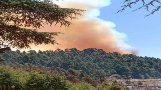 اندلاع حريق مهول بغابة جبل “أغندرو” بدائرة كتامة ضواحي الحسيمة