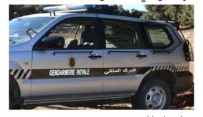 متابعة 24 دركيا بسبب علاقات مشبوهة مع بارونات مخدرات