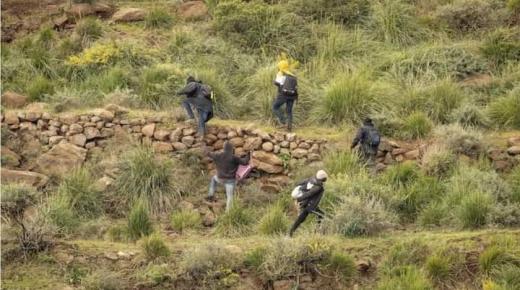 إجهاض عملية للهجرة السرية بمدينة وجدة