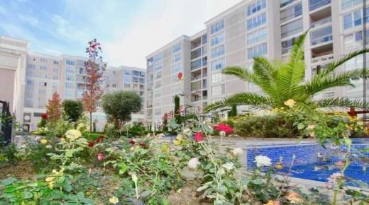 الحكومة تشدد المراقبة على الوكلاء العقاريين لمكافحة غسل الأموال وتمويل الإرهاب