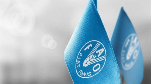 “الفاو”: انخفاض أسعار الغذاء إلى أدنى مستوى في شهر ماي