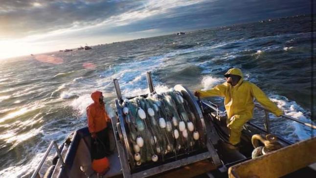 إسبانيا تستعد لسيناريو عدم تجديد اتفاقية الصيد البحري بين المغرب وأوروبا