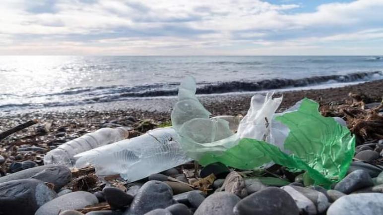 سويسرا.. اكتشاف بكتيريا تتغذى على البلاستيك قد يعزز مكافحة التلوث