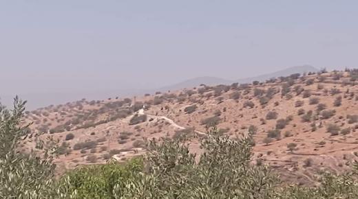 طريق غير معبدة تخلق المعاناة في جماعة تيسراس بإقليم تارودانت