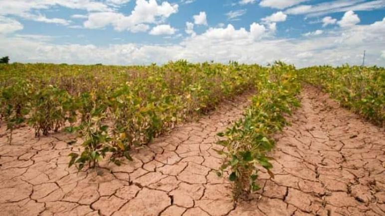 مكناس تحتضن أشغال ندوة علمية حول الزراعة البينية والتغير المناخي يوم 13 يوليوز