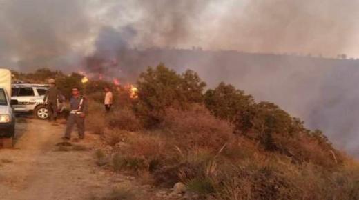 طائرات “كنادير” تنفذ تدخلات في بركان