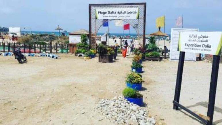 حملة “بحر بلا بلاستيك” لمؤسسة محمد السادس لحماية البيئة تحط الرحال بشاطئ الدالية