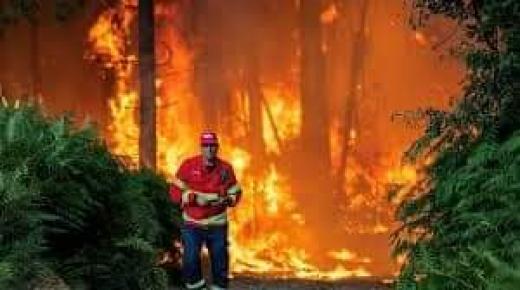 مع ارتفاع درجات الحرارة، البرتغال تكافح من أجل مكافحة حرائق الغابات