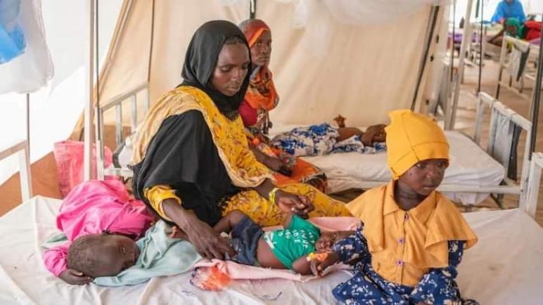 تسجيل نحو 13 ألف حالة إصابة بالملاريا شمال دارفور بالسودان