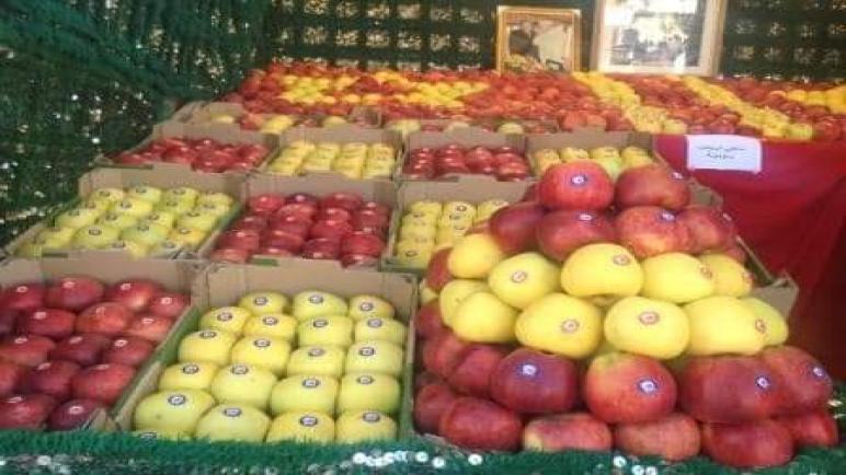 سلسلة التفاح: درعة تافيلالت تساهم بحوالي 60 في المائة من الإنتاج الوطني