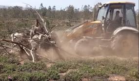 السلطة المحلية بللاميمونة تتدخل لحماية الأراضي السلالية