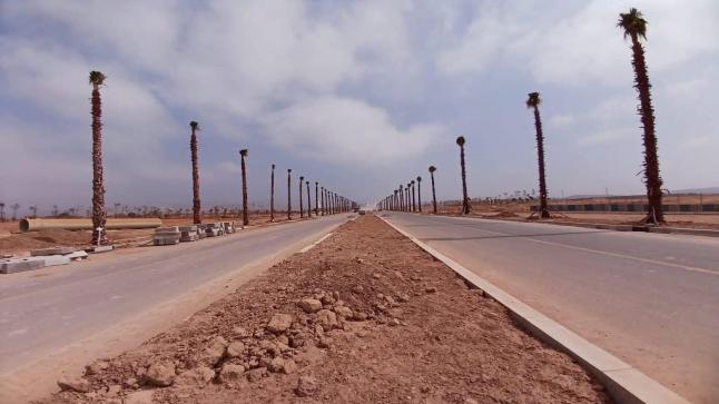 حركة بيئية تستنكر “تصحير” أكادير وتنخيل محيط ملعب “أدرار” عوض التّشجير المكثّف
