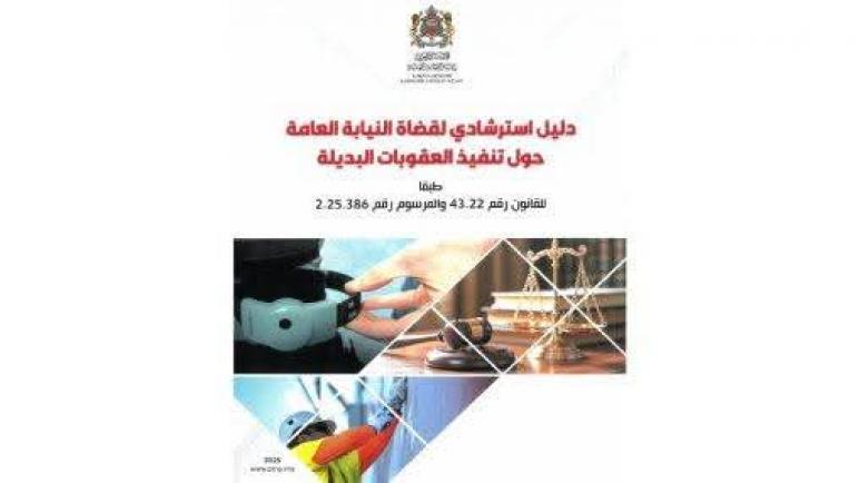 رئاسة النيابة العامة تصدر دليلا استرشاديا لقضاة النيابة العامة حول تنفيذ العقوبات البديلة
