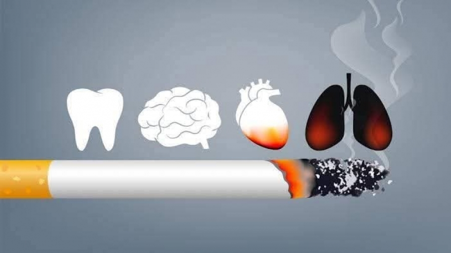 FB_IMG_1764317468556