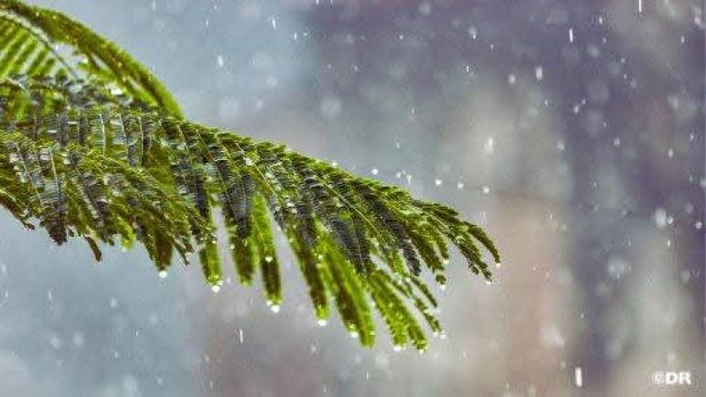 اضطرابات جوية.. تعليق الدراسة يوم غد الإثنين باشتوكة آيت باها