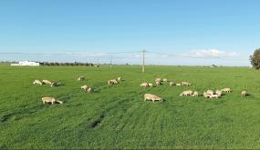 توقعات أحوال الطقس اليوم الثلاثاء