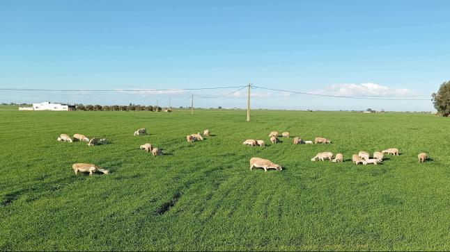 توقعات أحوال الطقس اليوم الثلاثاء