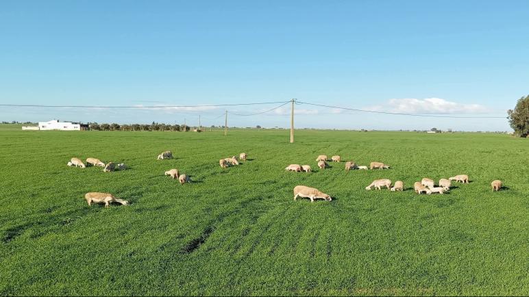 توقعات أحوال الطقس اليوم الثلاثاء