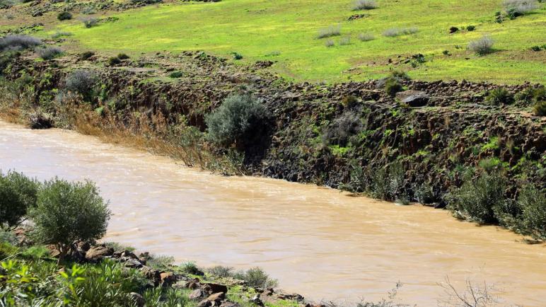 وادي أم الربيع.. شريان استراتيجي يستعيد زخمه الطبيعي