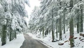 تساقطات ثلجية وزخات رعدية ورياح عاصفية قوية وطقس بارد من الاثنين إلى الخميس بعدد من مناطق المملكة