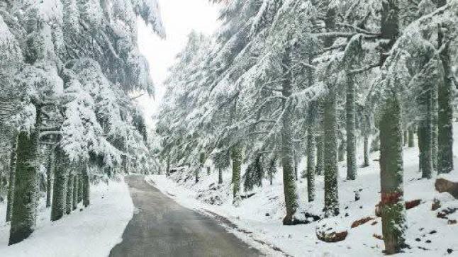 تساقطات ثلجية وزخات رعدية ورياح عاصفية قوية وطقس بارد من الاثنين إلى الخميس بعدد من مناطق المملكة