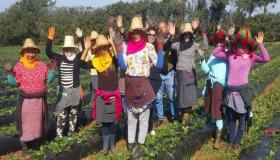 النيابة العامة تحرك مسطرة المتابعة في قضية بؤرة لالة ميمون