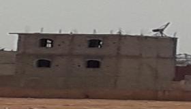 رئيس الدائرة الحضرية بأيت ملول يأمر بوقيف أشغال بناء عشوائي والقائد يطلب من المخالفين بتتمة الأشغال