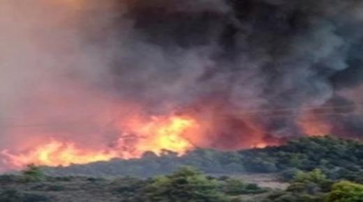 إندلاع حريق ضخم من جديد “بدار الشاوي” ضواحي مدينة طنجة