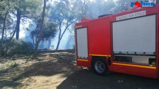 طنجة.. حريق يدمر الغابة الديبلوماسية