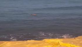 طنجة.. البحر يلفظ مخدرات بشاطئ مرقالة