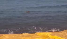 طنجة.. البحر يلفظ مخدرات بشاطئ مرقالة